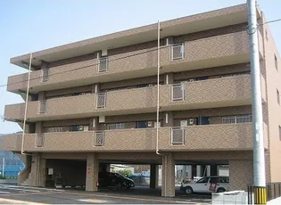 マイノリックM【4階】の外観