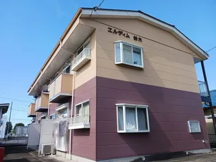 エルディム鈴木の画像