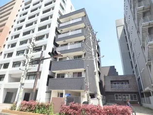 QUATRE SAISONの画像