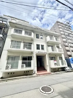 ホワイトハイツの画像