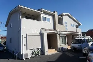 プルメリアの画像