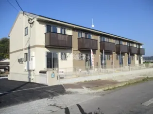 カタルパトモダの画像