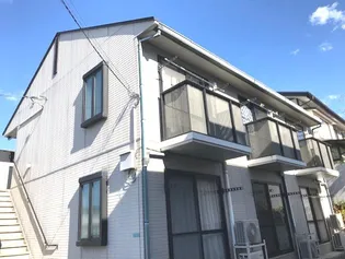 セフィラ エイ 黒松の画像