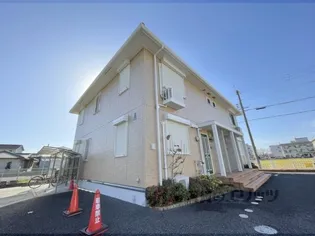 タウンビビの画像