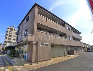アクシス ウィルの画像