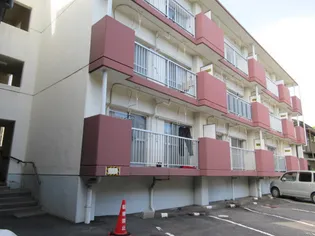 フォレスト1の画像