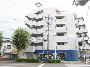 東京都杉並区和泉3【マンション】の外観