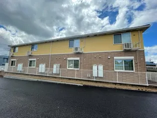 プリムローズの画像