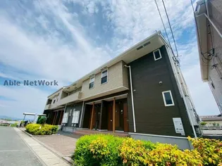 アングレカム Dの画像