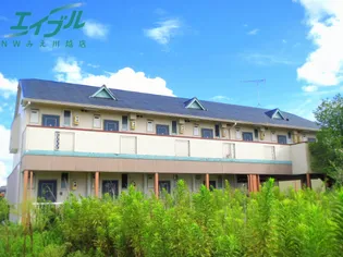 フラットYの画像