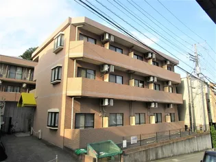 パーシモンズヒルの画像