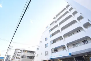 ドルミ庚午の画像