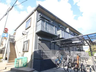 オアシスサマーの画像