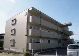 ア ドリーム巾の画像