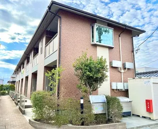 セシボンの画像