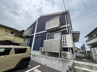 AZUL黒松の画像