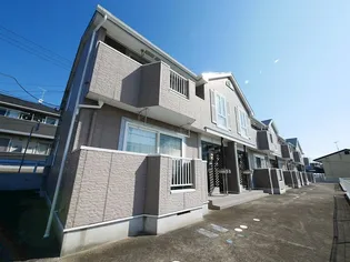 ベルウッド 381 Bの画像