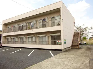 ベリーの画像