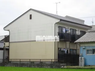 ゴールデン林IIの画像