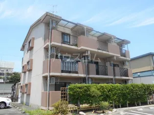 ブランロジュマンの画像