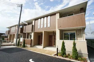 プリムローズAの画像