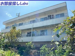 神奈川県小田原市中町1【マンション】の外観