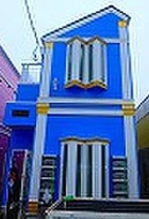 フェリススイートピーの画像