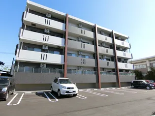 CELSUS GRANDEの画像