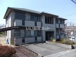 シャルム赤膚Iの画像