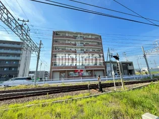 メトロポーレの画像