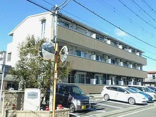 ラフィーネの画像