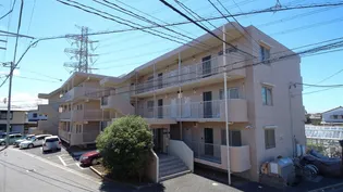 ブルック海神五の画像