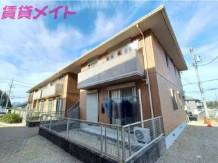 ミズキ Aの画像