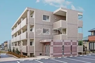 ブエナビスタの画像