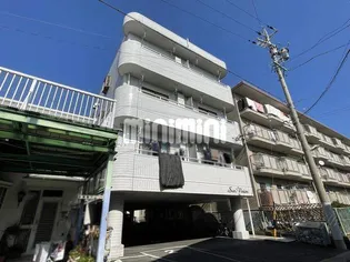 サン ビジョンの画像