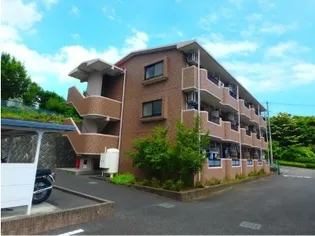 セレーノIIの画像