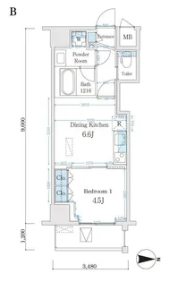 Cartoleria【4階】の間取り