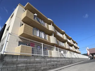 ドメスティックカーサの画像