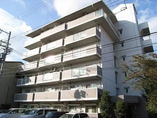 ミオハイツザコの画像