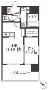 Coccinelle【11階】の間取り