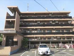 ボアソルチの画像