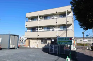 グランドコスモスの画像