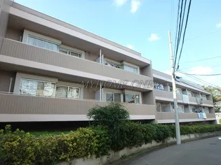 大貫ラガーランドの画像