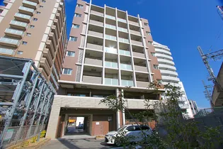 テラス天の川の画像