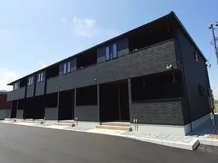 サンスベリアの画像