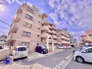 鹿児島県鹿児島市鴨池1【マンション】の外観