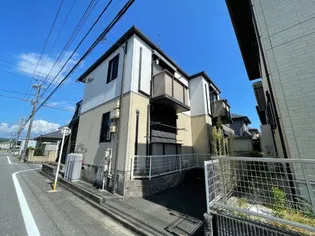 秋桜MIAIの画像