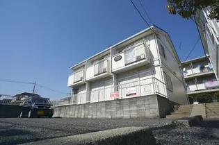 小手指フェニックスAの画像