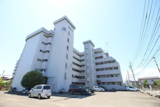 徳島県徳島市末広4【マンション】の外観