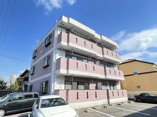 メゾン碧新・天王【3階】の外観